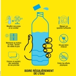 PREVENTION CANICULE