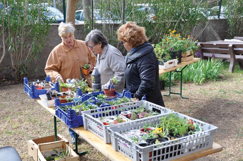 Une opération « Troc Plantes » pour nos aînés