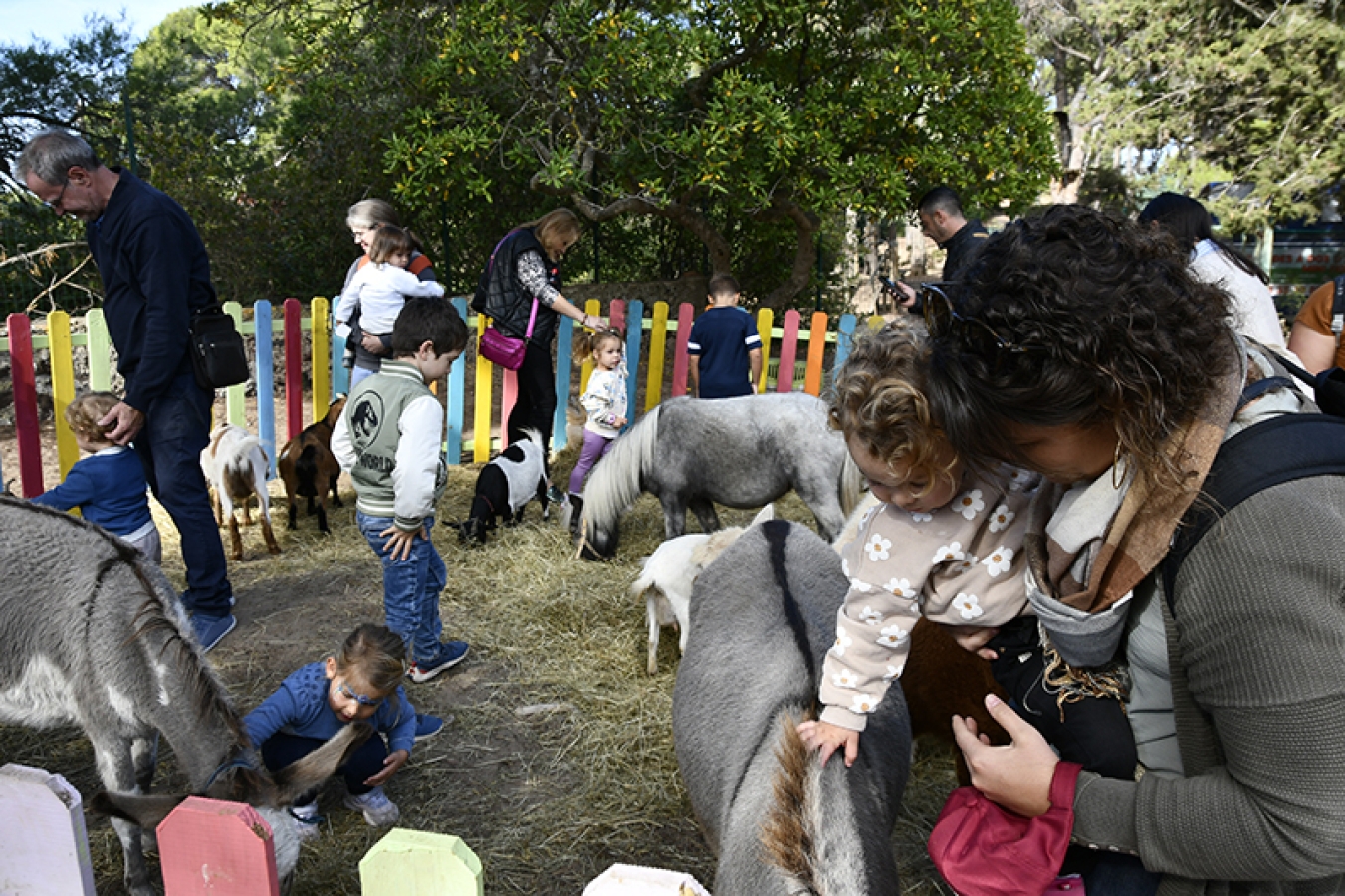 manège écologique manège écologique